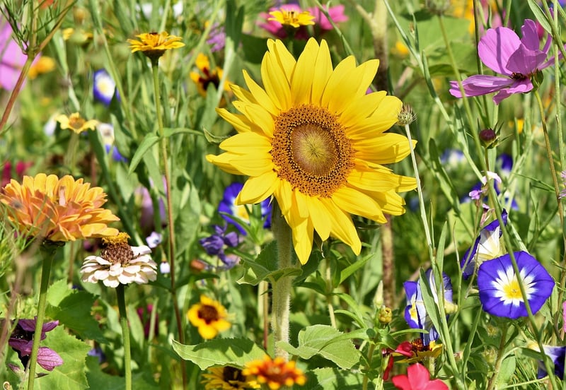 Upcycled Garden Art