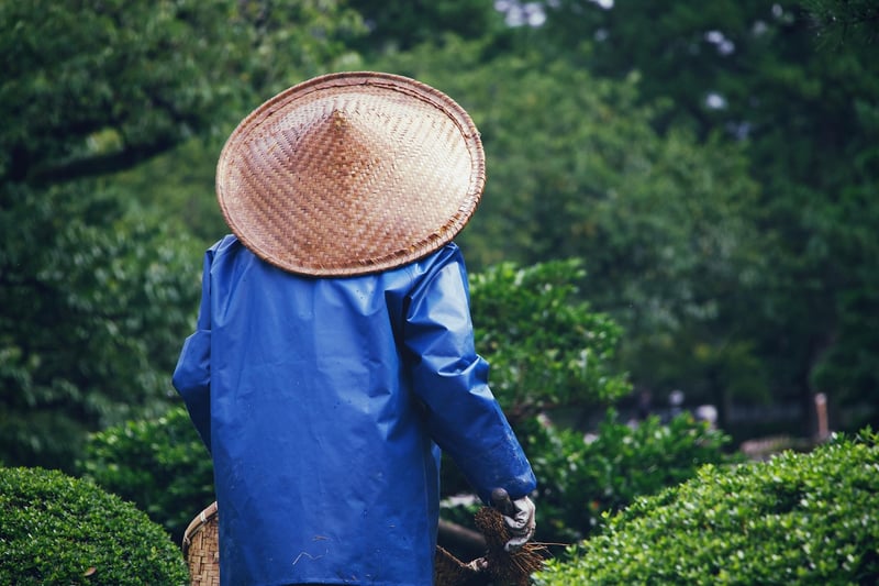 Garden Fertilizing